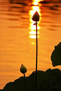 瓦伦西亚客场挫败安联，欧冠前景一片光明