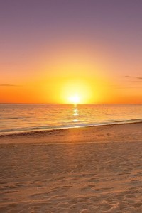 拜仁慷慨解囊，签下新一位欧冠射手