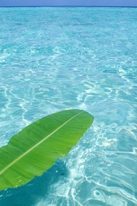 瓦伦西亚客场挫败安联，欧冠前景一片光明