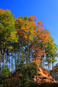 阿拉维斯客场对阵比利亚雷亚尔，胜负难料！