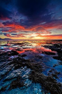 拓荒者国王的摇篮曲：血脉传承的传奇与宿命