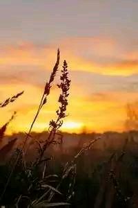 阿拉维斯客场对阵比利亚雷亚尔，胜负难料！