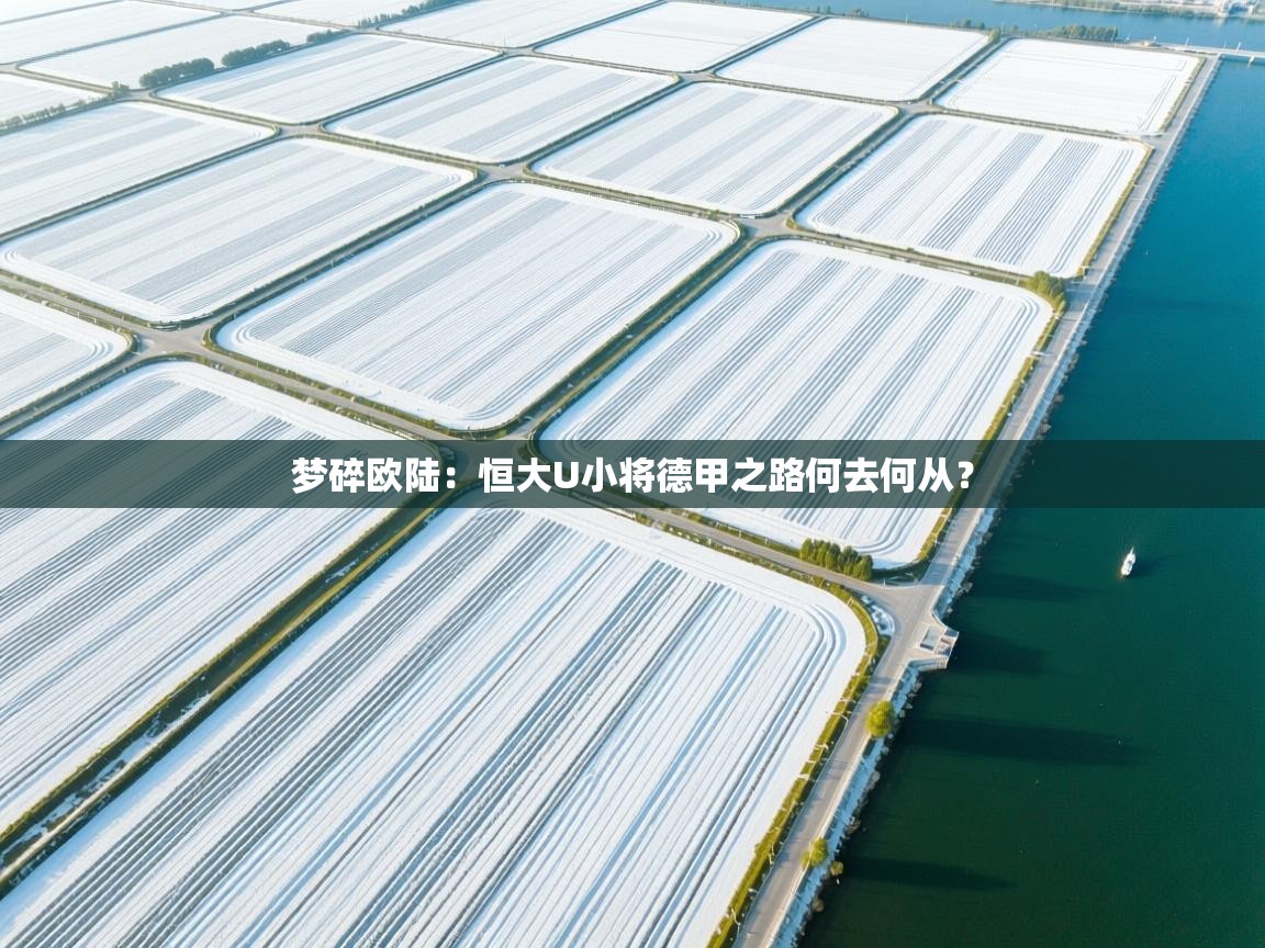 梦碎欧陆：恒大U小将德甲之路何去何从？