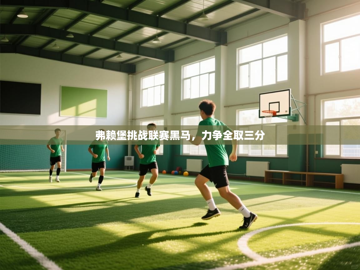 弗赖堡挑战联赛黑马,力争全取三分 第1张